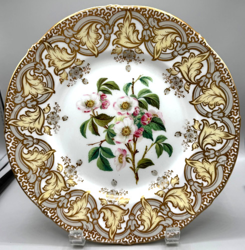 Antico piatto porcellana - antico,