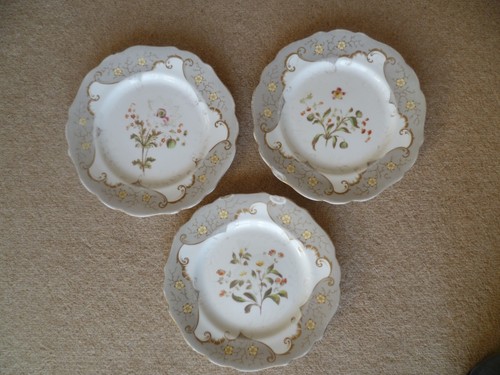 Antichi piatti coalport 3 - piatti,