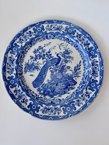 Antico piatto pavone andrew - antico,